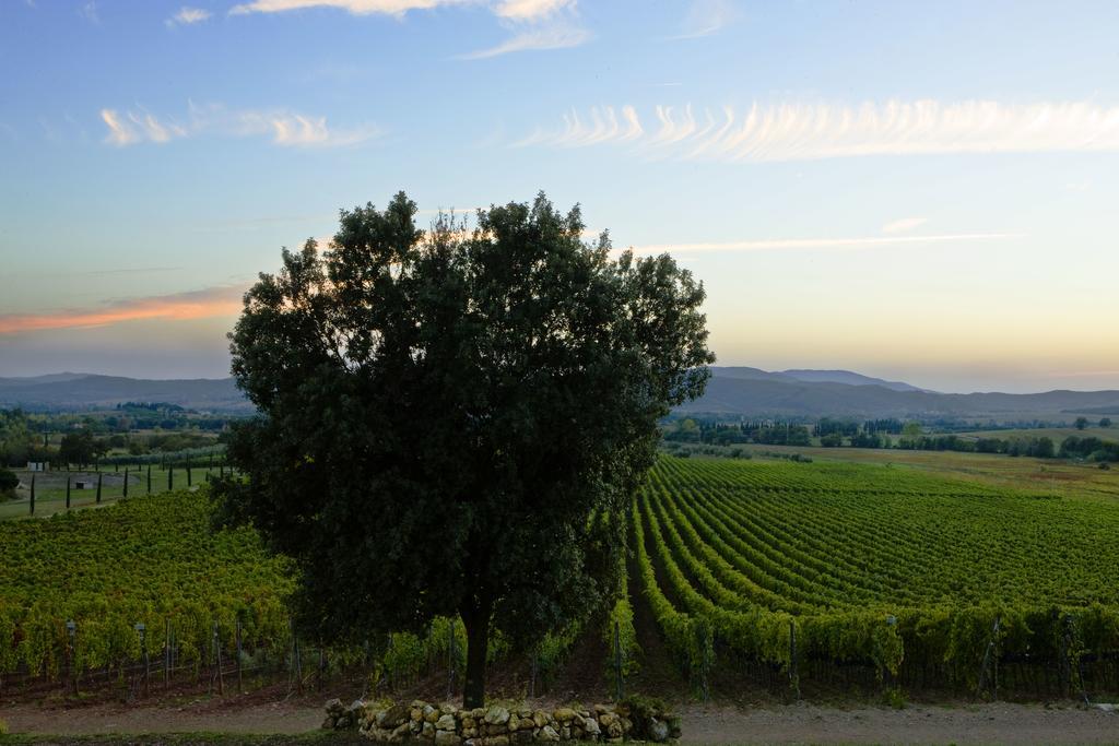 Wine Conti Di San Bonifacio Country house *