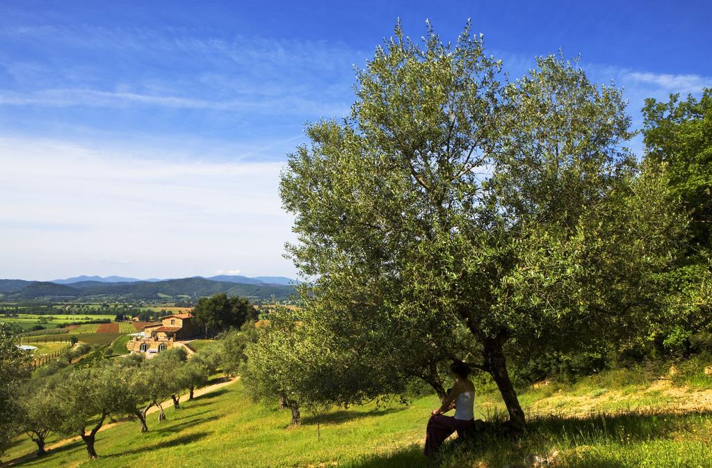Country house Wine Conti Di San Bonifacio *