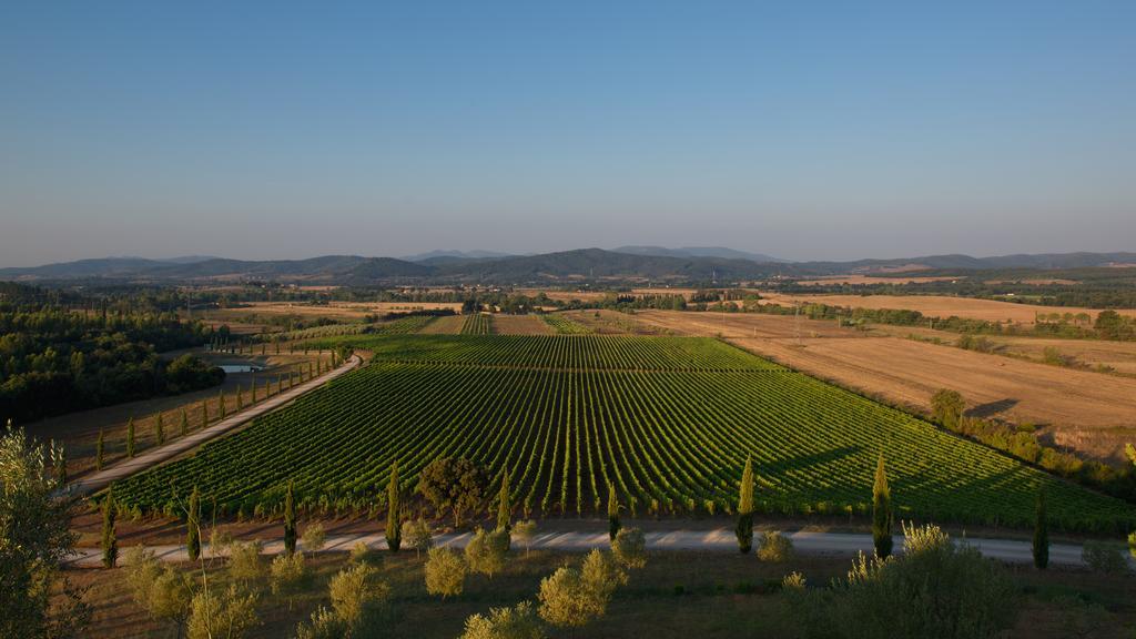 Wine Conti Di San Bonifacio Country house