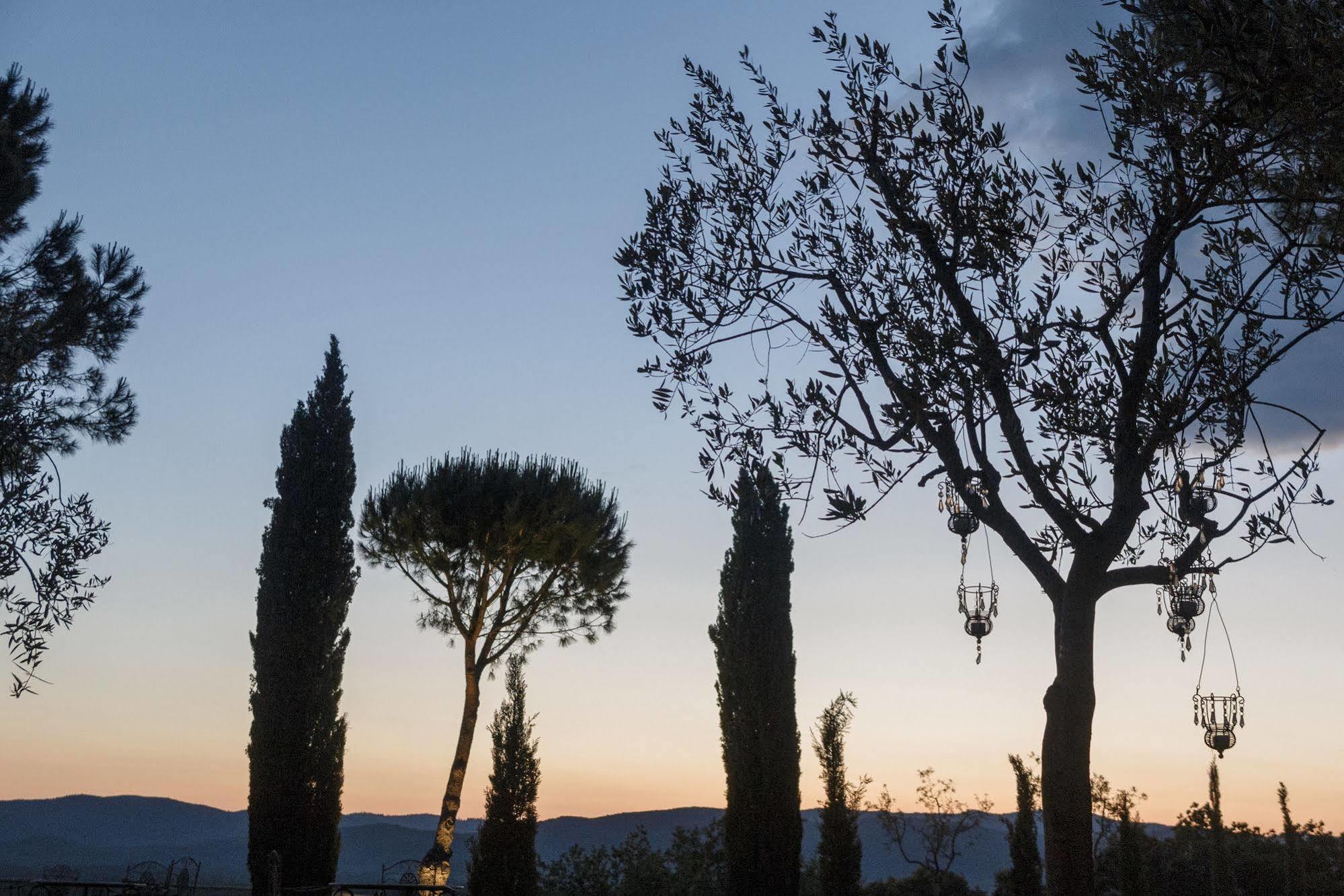 Wine Conti Di San Bonifacio Country house Montemassi