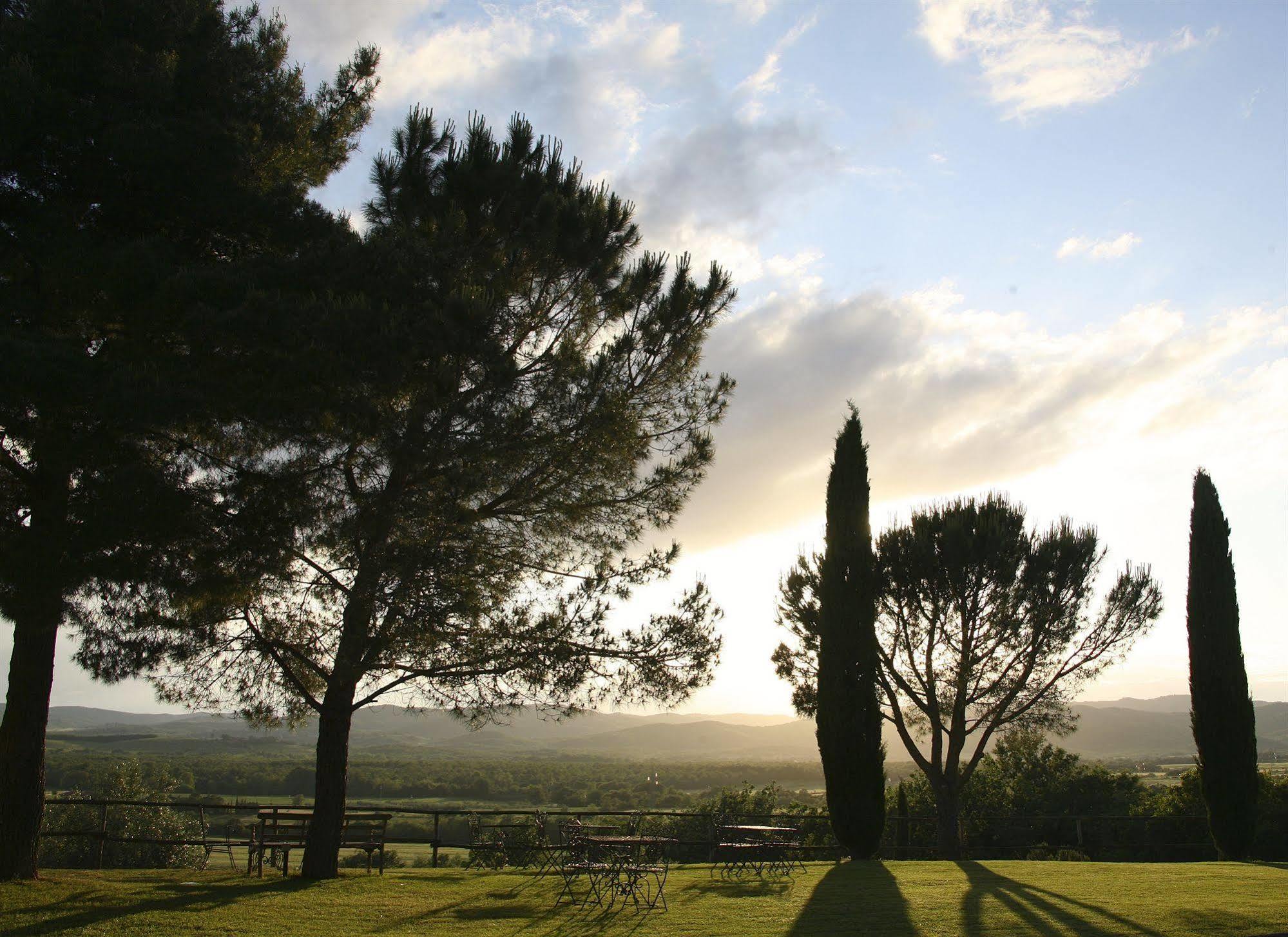 Wine Conti Di San Bonifacio * Montemassi